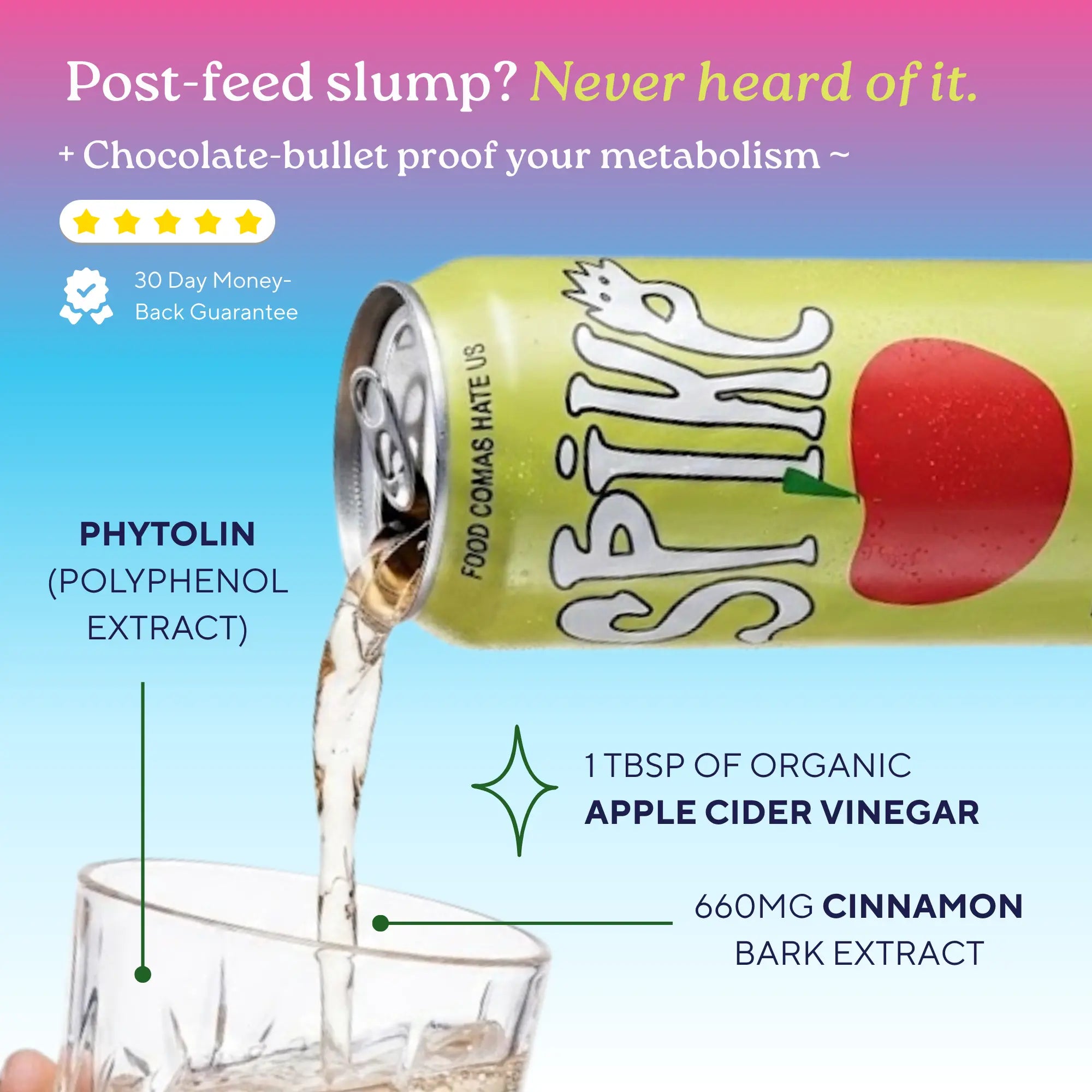 spike Mixed Bundle — Sparkling Vinegar Drink Variety Pack (36 Cans) spike